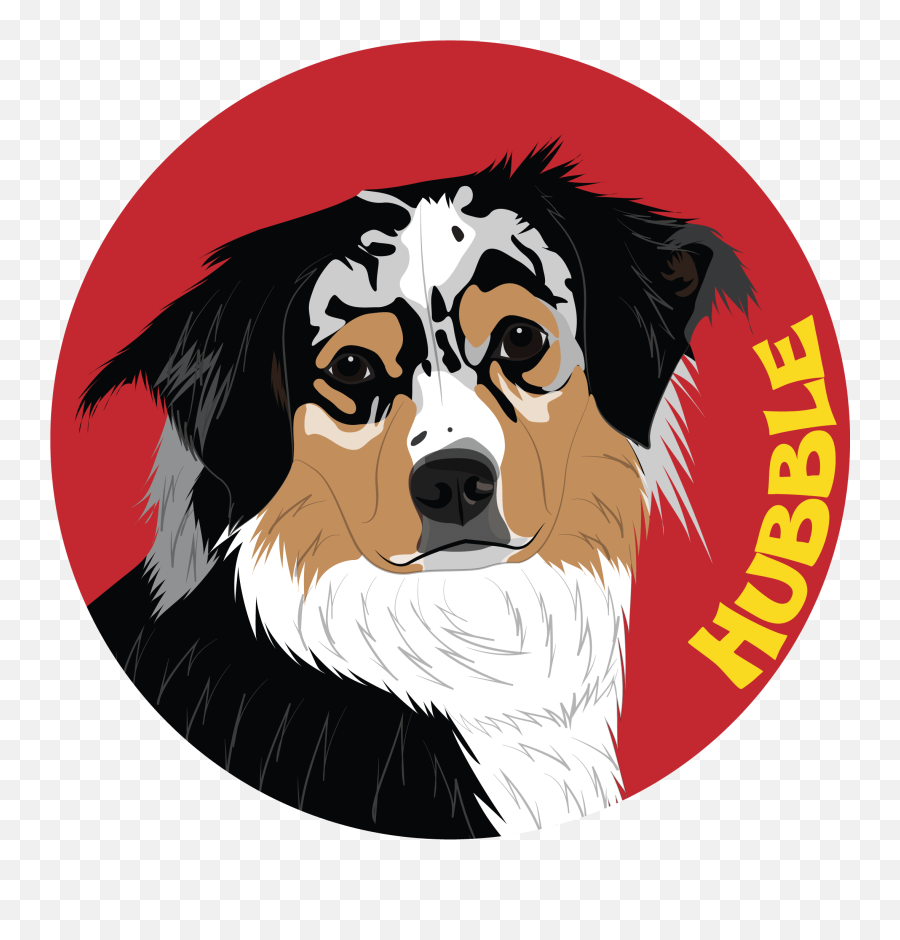Bernese Mountain Dog Clipart - Full Size Clipart 3683720 Northern Breed Group Png,Dog Clipart Transparent