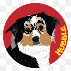 Bernese Mountain Dog Clipart - Full Size 3683720 Northern Breed Group png