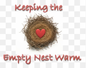 Hsn Keeping The - Nest Transparent Cartoon Jingfm Png,Nest Png