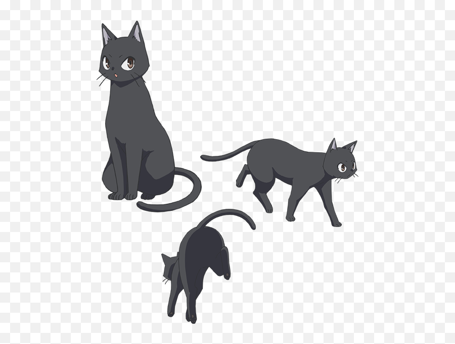 Download El Anime De Flying Witch - Flying Witch Anime Cat Png,Anime Cat Png