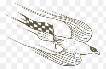 Iconography U2014 9 U S - Accipitridae png