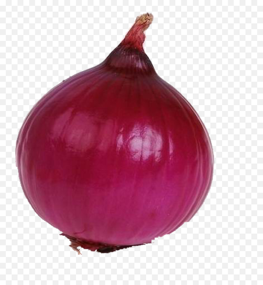 Single Onion Png High - Onion Vegetables,Onion Png