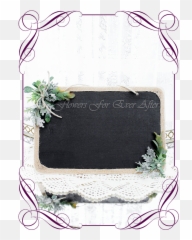 Foliage U0026 Twine Sign Board - Native Australian Flower Hair Comb png