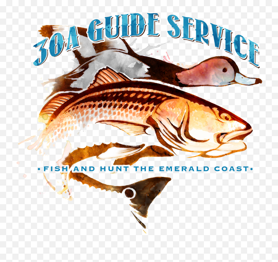 30a Guide Serviceu0027s Duck Hunting Charters In The Florida Png Hunt Icon