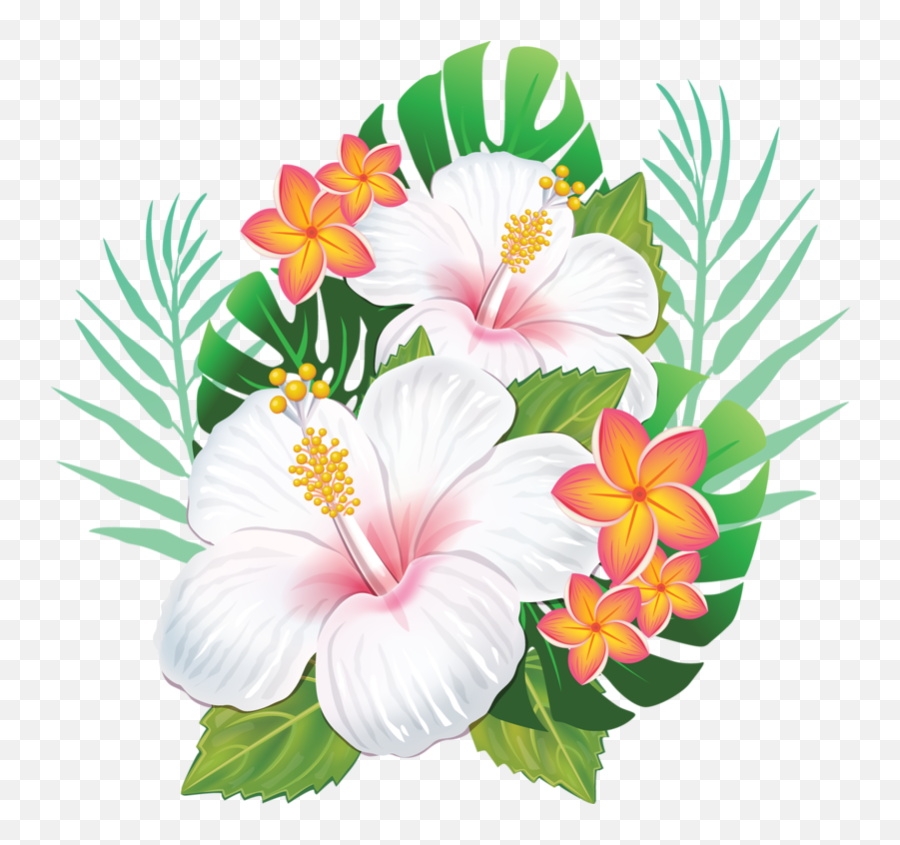 Rosemallows Hawaiian Hibiscus Flower - Transparent Hawaiian Flowers Png,Hawaiian Flowers Png