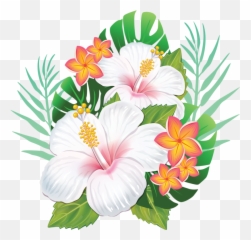 Rosemallows Hawaiian Hibiscus Flower - Transparent Flowers Png