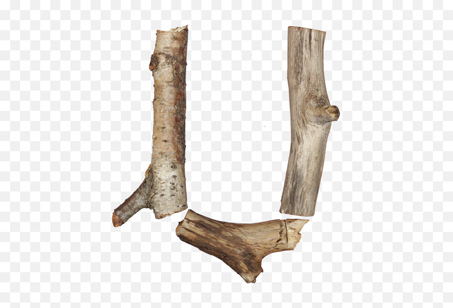 Download Dry Twigs Font Letter U - Melee Weapon Full Size River Birch Png,Twigs Png