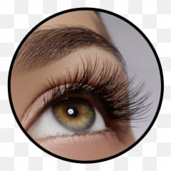 Pricing Daniel Island Lashes - Vegetable Oil Eyelashes png