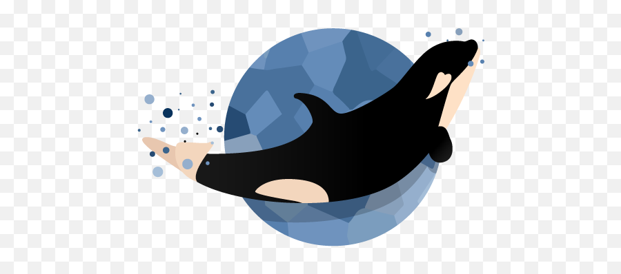 Happy Baby Orca - Cartoon Png,Orca Png