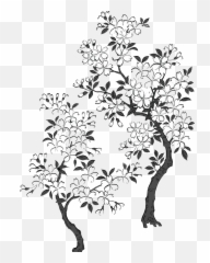 Sakura Tree Transparent U0026 Png Clipart Free Download - YWD White Art