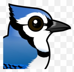 Cartoon Blue Jay Bird - Cute Blue Jays Birds Png,Blue Jay Png