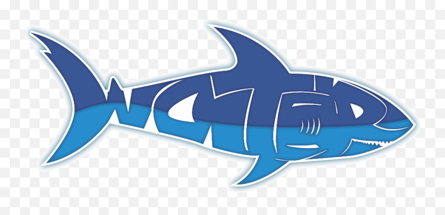 Water Sharks Clean Systems - Atlantic Blue Marlin Png,Shark Transparent Background