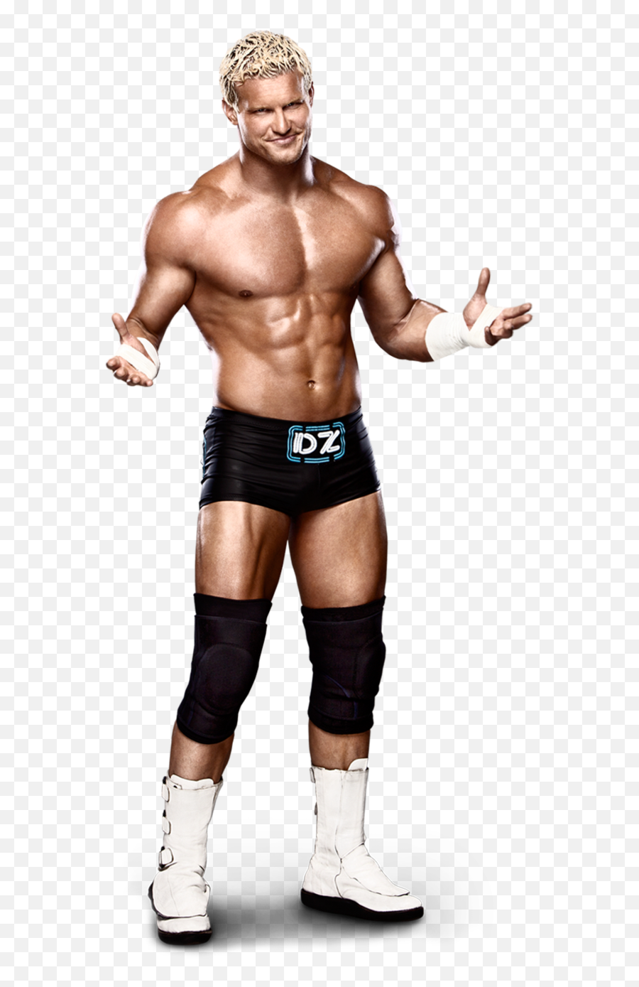 Wwe Images Dolph Ziggler Hd Wallpaper - Dolph Ziggler Png,Dolph Ziggler Png