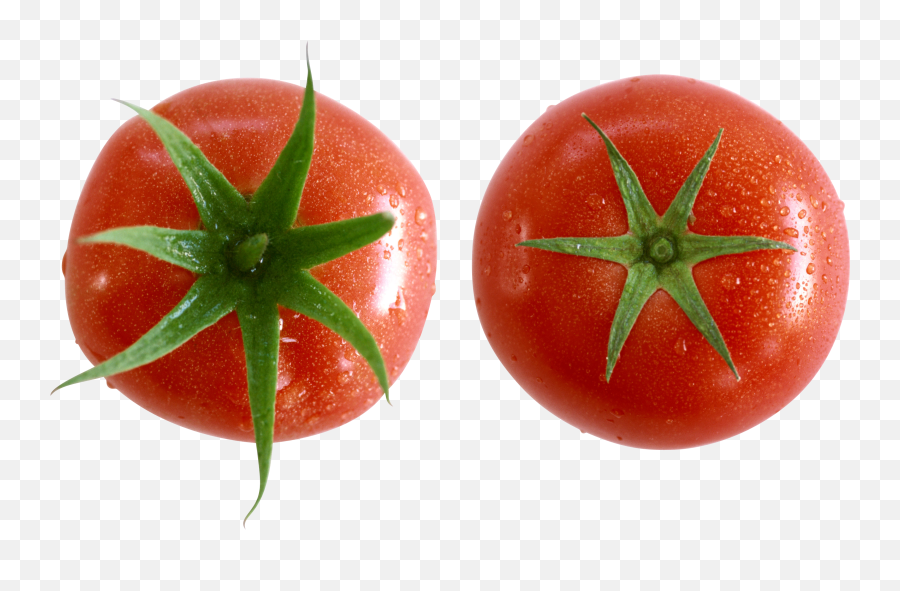 Tomato Png Images Free Download - Tomato Png,Tomato Png