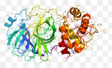 Coronavirus 2019 - Ncov2 Png,2 Png