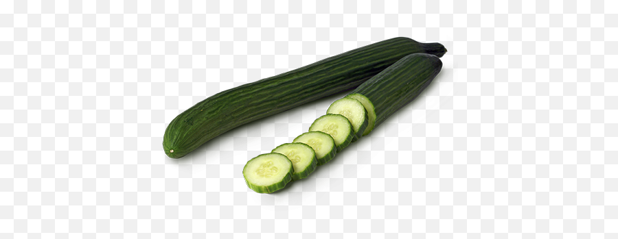 Long English Cucumbers The Oppenheimer Group - English Cucumber Vs Field Cucumber Png,Cucumber Transparent