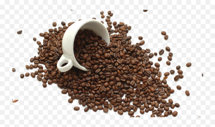 Instant Coffee Tea Bean Ro 1214601 - Png Bean Coffee Png,Coffee Beans Png