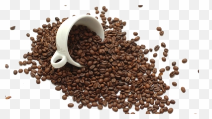 Instant Coffee Tea Bean Ro 1214601 - PNG Png