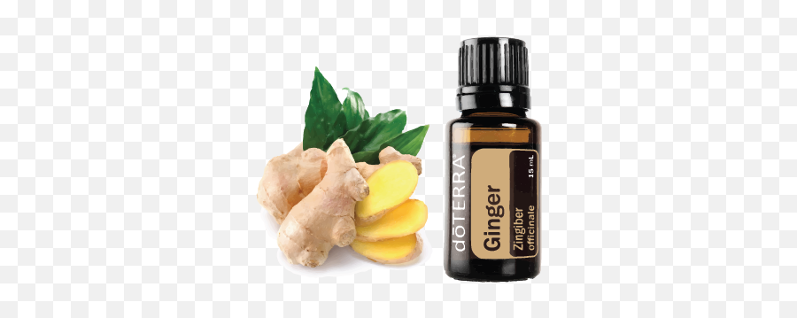 Ginger U2013 Essential Oils And Yoga - Ginger Doterra Png,Ginger Png