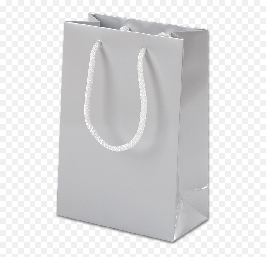 Silver Gloss Paper Party Bags With Rope Handles - The Paper Bag Store Silver Paper Bag Rope Png,Paper Bag Png