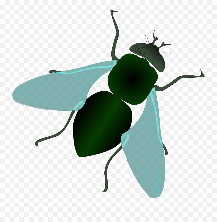 Green House Fly Clip Art - Cartoon House Fly Png,Fly Clipart Png