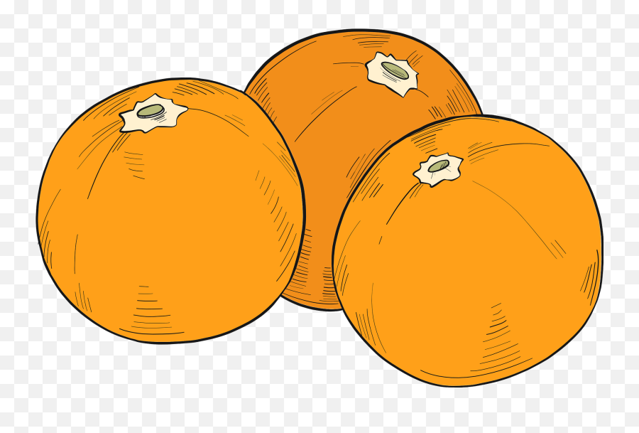 Oranges Clipart Free Download Transparent Png Creazilla - Fresh,Oranges Png