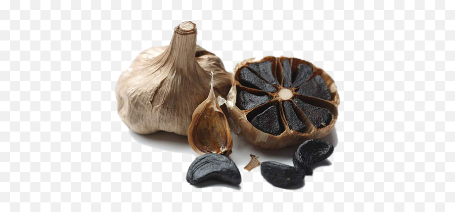 Black Garlic - The Super Food Of This Century Black Garlic Png,Garlic Png