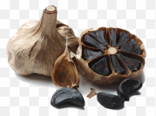 Black Garlic - The Super Food Of This Century Black Garlic Png,Garlic Png