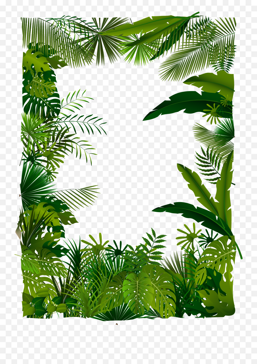 Download Trees Tree Illustration Tropical Euclidean Vector - Tropical Forest Vector Png,Forest Tree Png
