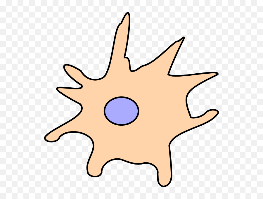Dendritic Cell Png Clipart - Full Size Clipart 47423 Dendritic Cell Clipart,Cell Png