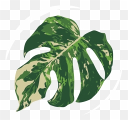 Coming Soon Png