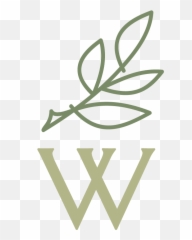About Us - Wildtree Language Png,St Jude The Icon