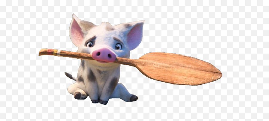 Moana Pua Pig Oar Character Disney Cute Adorable Aesthe Cute Pua From Moana Png Moana Png Images Free Transparent Png Images Pngaaa Com