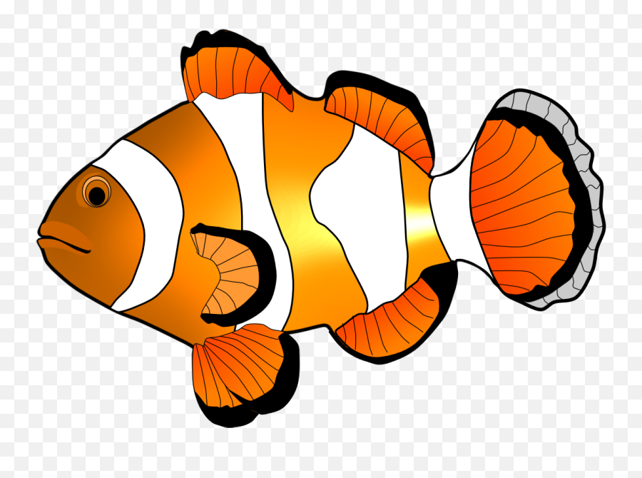 101 Clown Fish Clip Ar Images Art Clipartlook - Clown Fish Clip Art Png,Fish Clipart Transparent