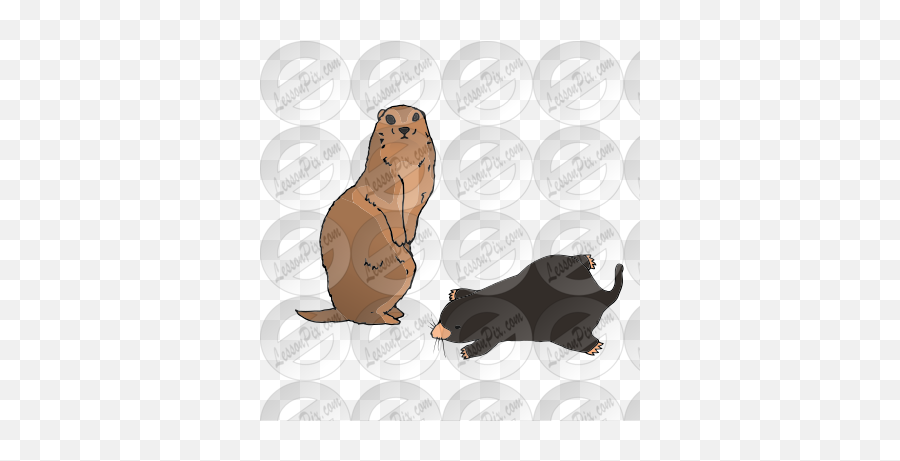 Gopher And Mole Picture For Classroom Therapy Use - Great Groundhog Day Png,Mole Icon