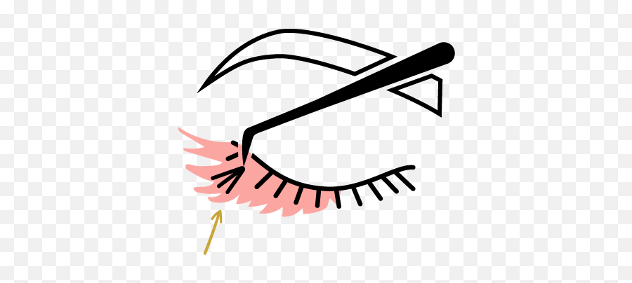 A Lashes Studio - The Waxology Beauty Seattle Wa Lash Extensions Icon Png,Clip Studio Icon