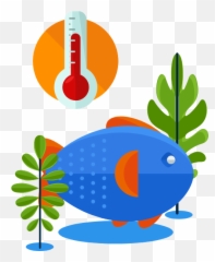 Fresh - watereco u2013 Beebio Aquarium Fish png
