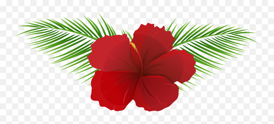 Exotic Flower Clipart - Transparent Hawaiian Flower Png,Hawaiian Flowers Png