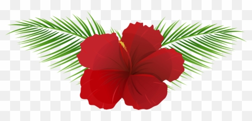 Exotic Flower Clipart - Transparent Hawaiian Png