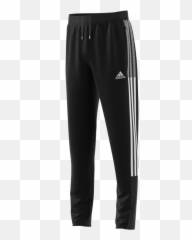 Apparel Soccerx Brand Adidas Colour Argentina - Blue Trousers png