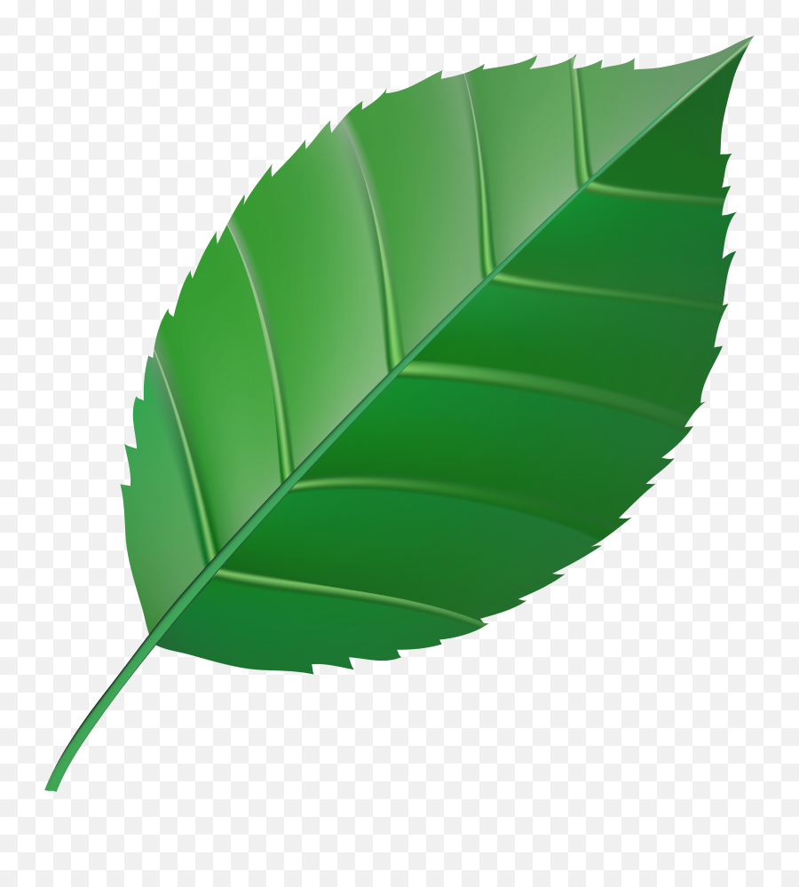 Clipart Transparent Green Leaf Png Background