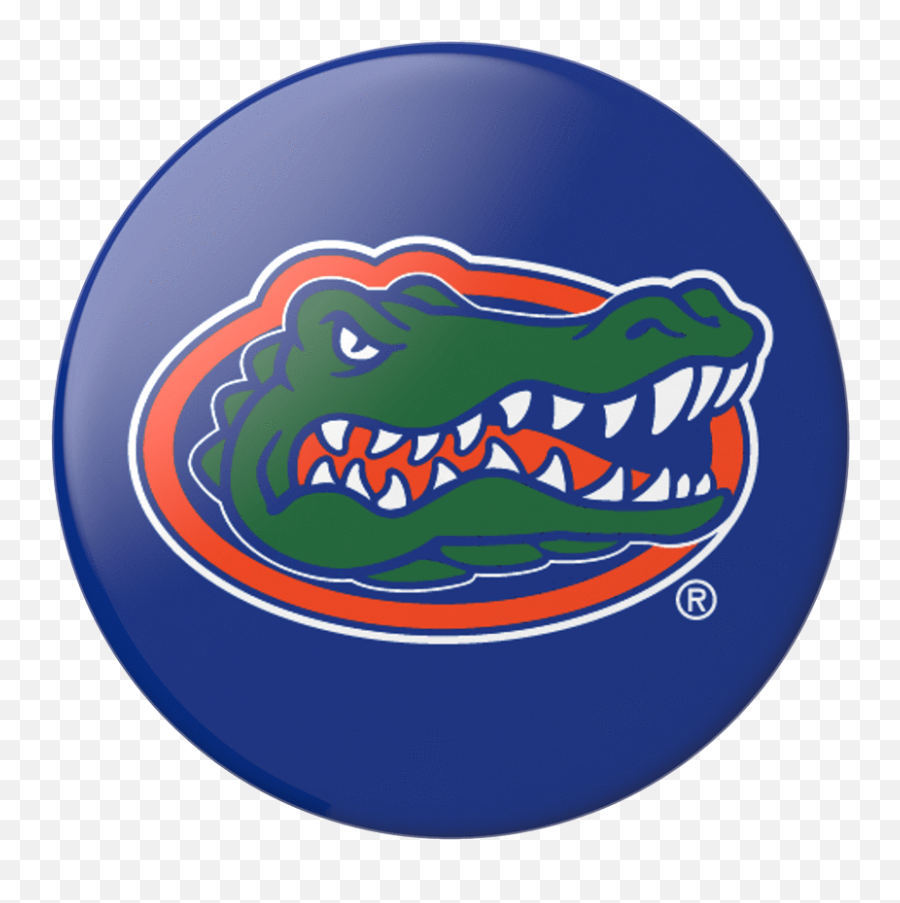 Florida Gators - Florida Gators Basketball Png,Florida Gators Png