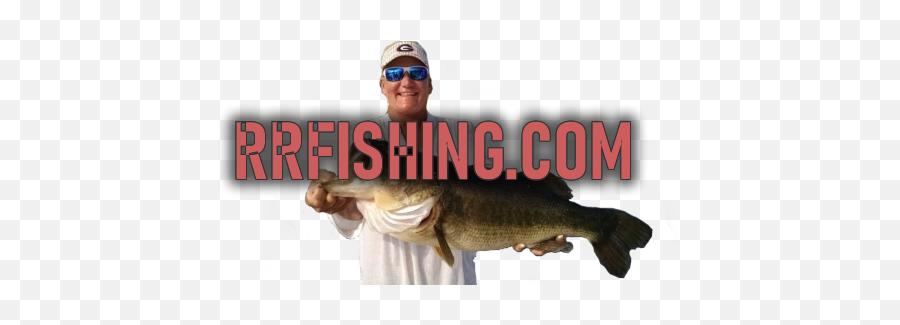 Rodman Reservoir Fishing Guides Bass - 888 Pull Fish Out Of Water Png,Bass Fish Png