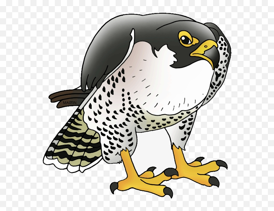 Falcon Clipart Transparent - Clipart Peregrine Falcon Png,Atlanta Falcons Png