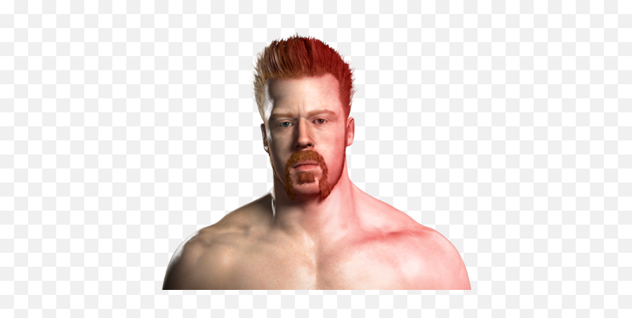 Wwe Smackdown Vs Raw 2011 Concept Art - Smackdown Vs Raw 2011 Sheamus Png,Sheamus Png