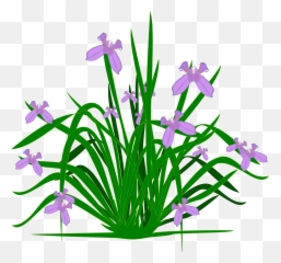 Library Of Plants And Flowers Clipart Black White - Clipart Plants png