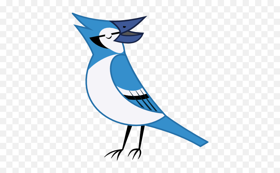 Download Bluejay Drawing Blue Jay Bird - Cartoon Blue Jay Transparent Png,Blue Jay Png