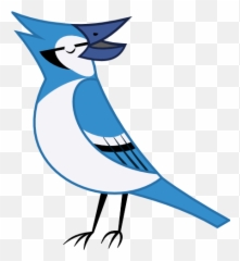 Download Bluejay Drawing Blue Jay Bird - Cartoon Blue Jay Transparent Png,Blue Jay Png
