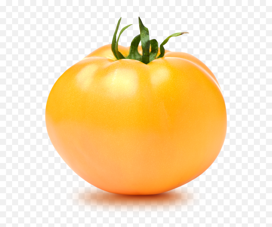 Tomato Png Images 1 Image - Gold Tomato Png,Tomato Png