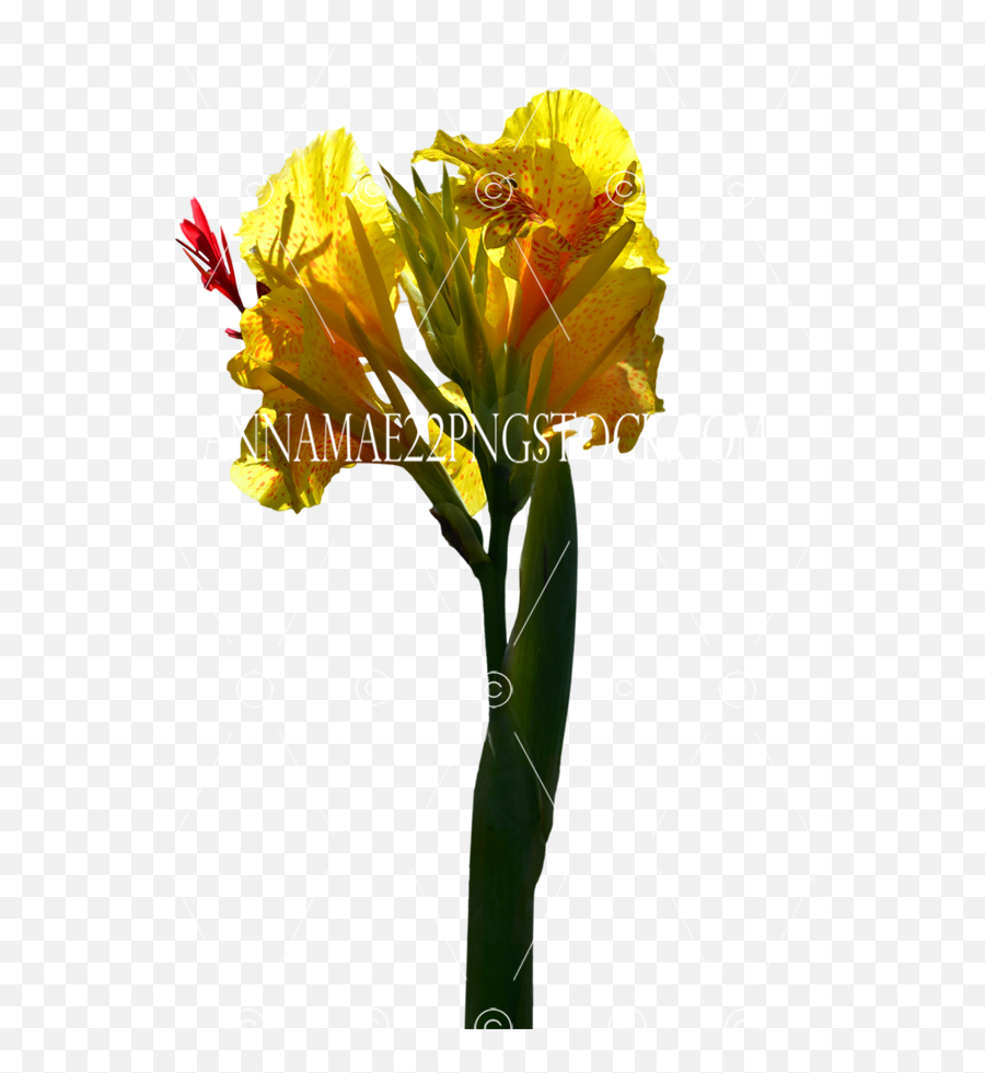 Png Stock Photo 0094 Transparent Image - Artificial Flower,Yellow Flowers Png